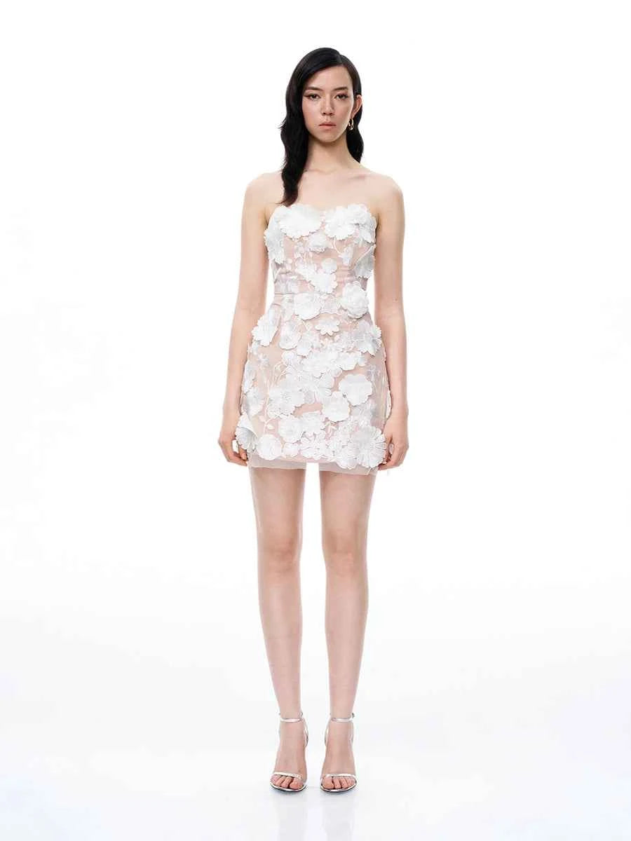 Allio Embroidered Floral Strapless Dress
