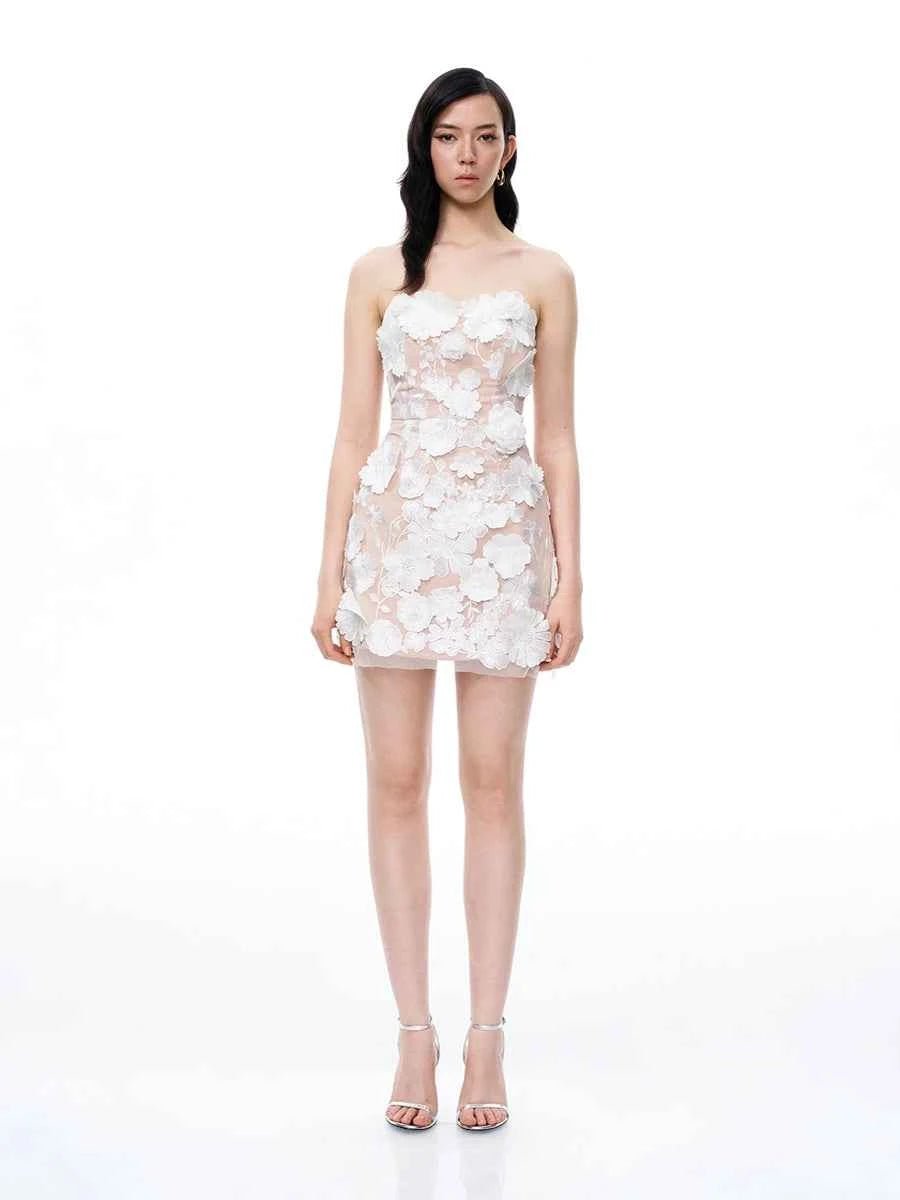 Allio Embroidered Floral Strapless Dressmini dressCelidiorCelidiorCJLY297854401AZnull