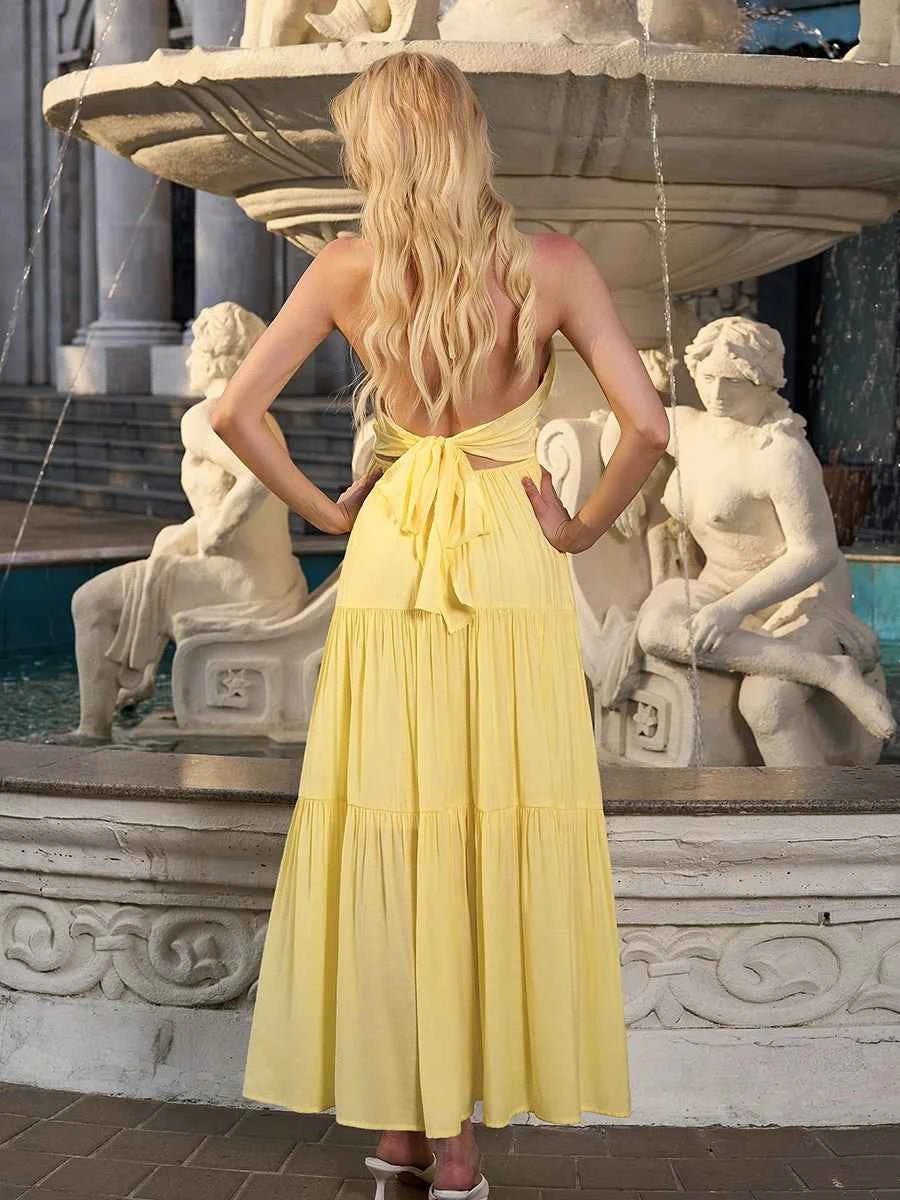 Astraea Backless Halterneck V-Neck Pleated A- Line Dress - Celidior
