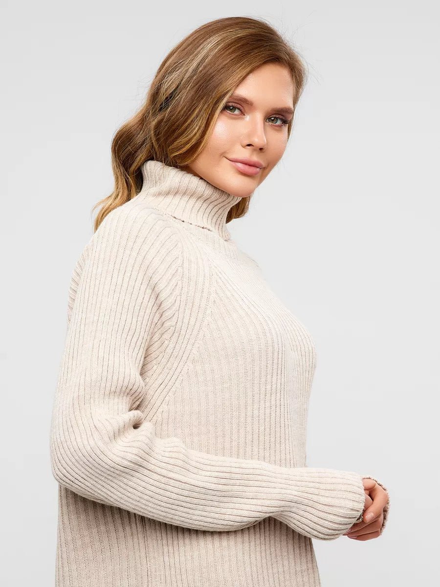 Hortensia Turtleneck Sweater DressOtherCelidiorCelidiorCJMY190148607GT