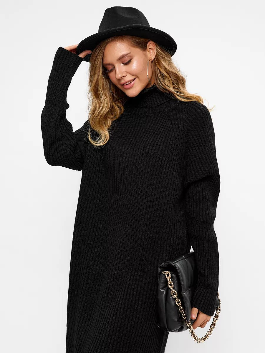 Hortensia Turtleneck Sweater DressOtherCelidiorCelidiorCJMY190148613MN