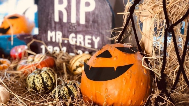 DIY Halloween 2025 Decoration Box Set: A Solution for Busy People