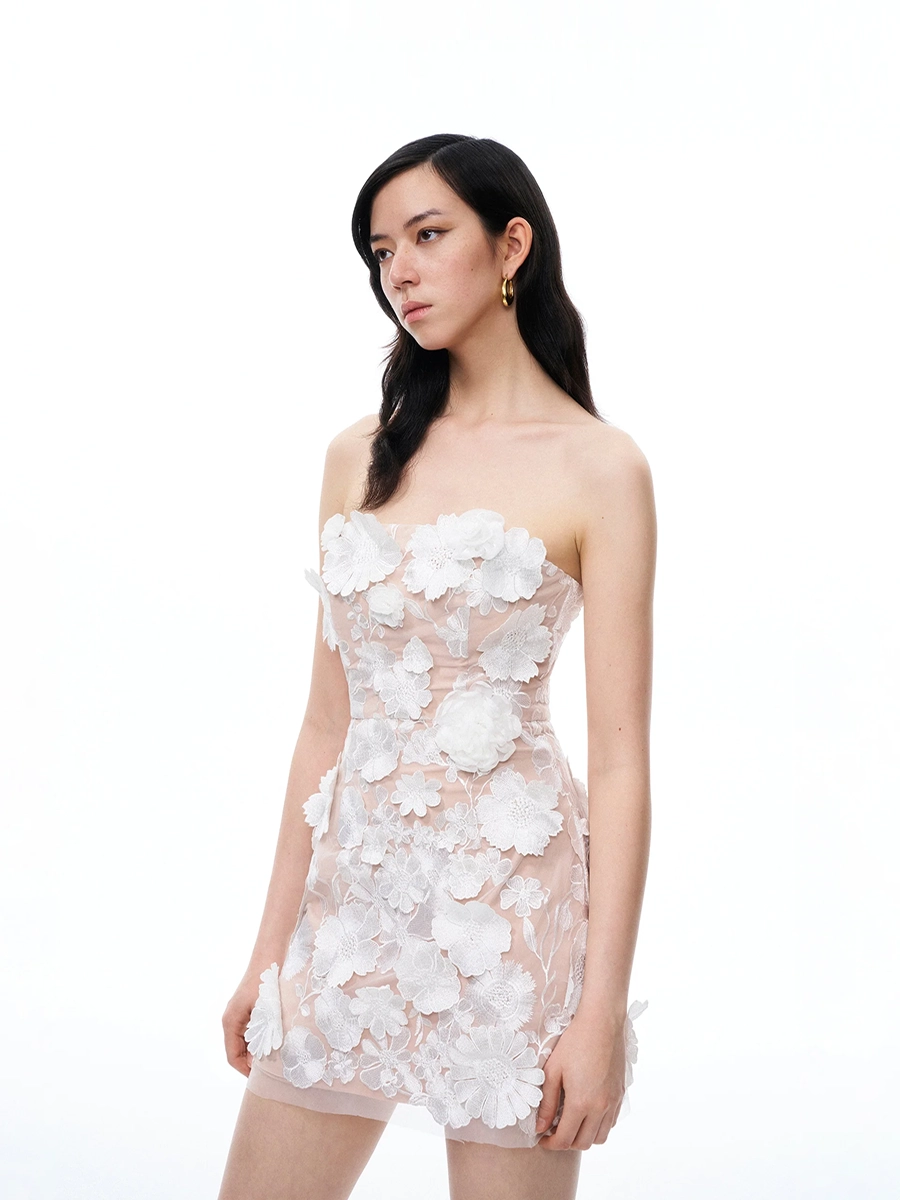Allio Embroidered Floral Strapless Dress