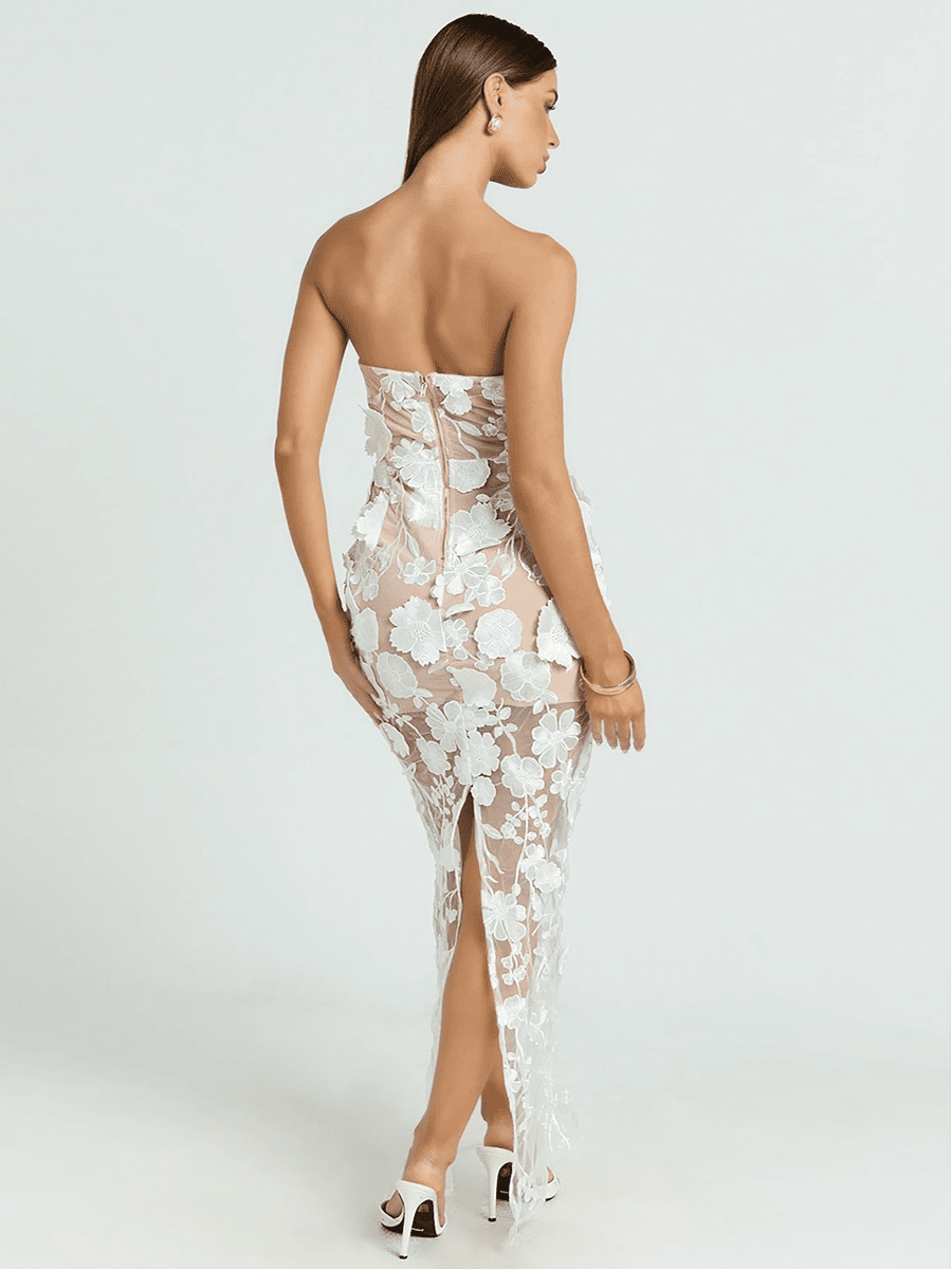 Allista French Style Tube Dressmaxi dressCelidiorCelidiorCJLY287203407GTnull