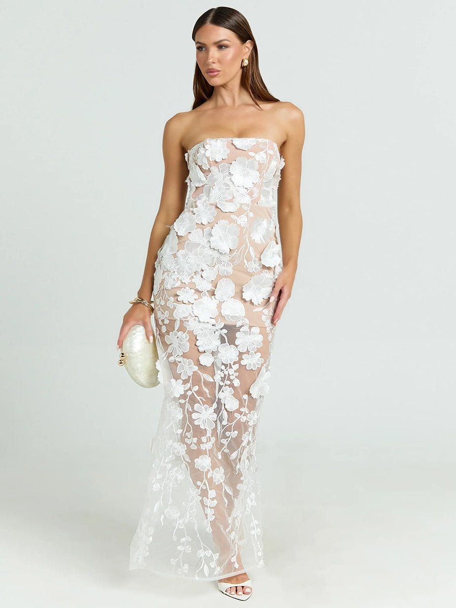Allista French Style Tube Dressmaxi dressCelidiorCelidiorCJLY287203407GTnull