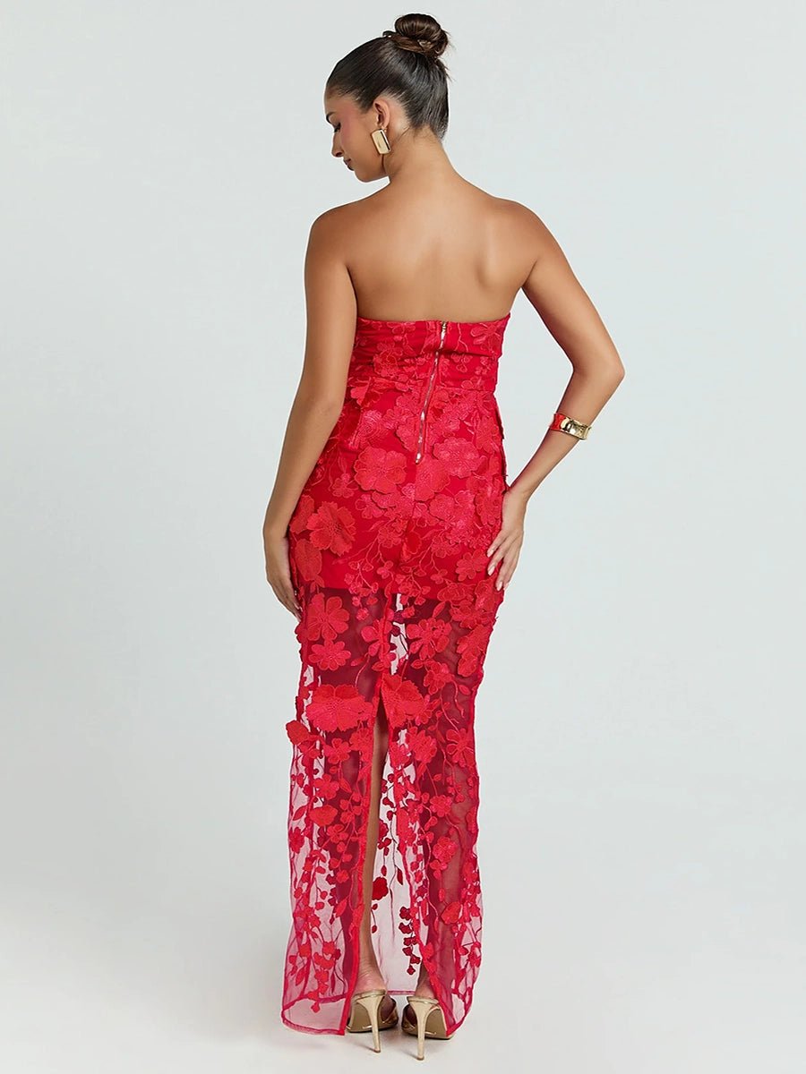 Allista French Style Tube Dressmaxi dressCelidiorCelidiorCJLY287203410JQnull