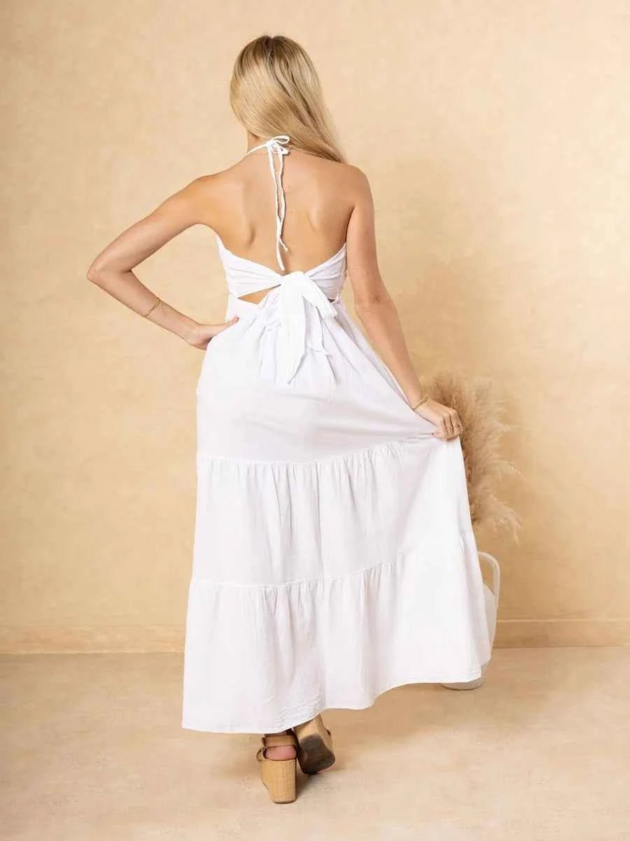 Astraea Backless Halterneck V-Neck Pleated A- Line Dress - Celidior
