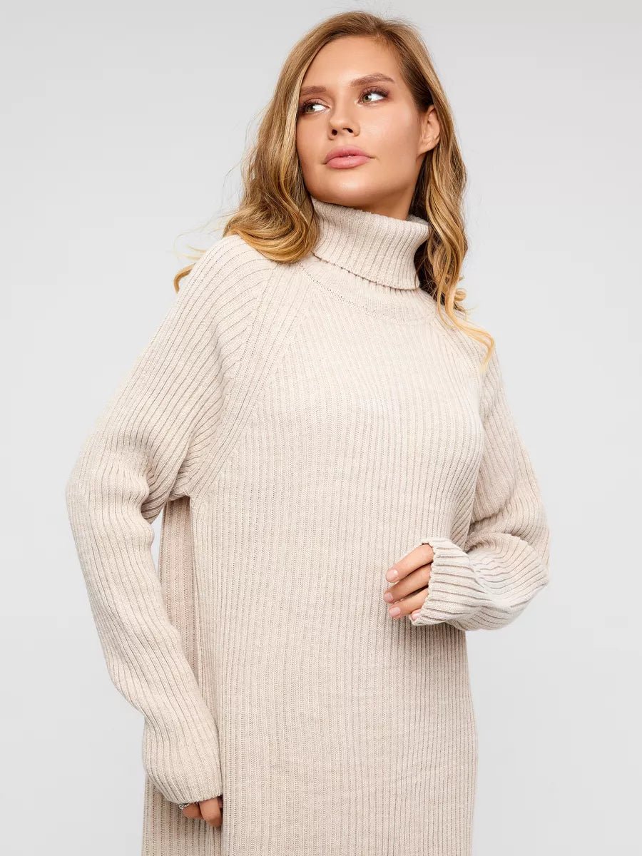 Hortensia Turtleneck Sweater DressOtherCelidiorCelidiorCJMY190148607GT
